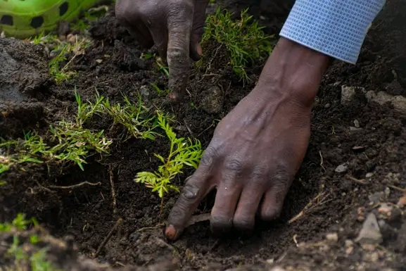 World Environment Day