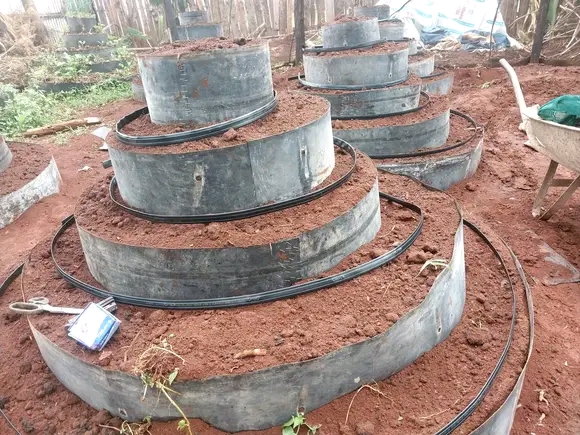 Urban Agriculture Project